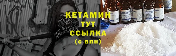 амф Дмитриев