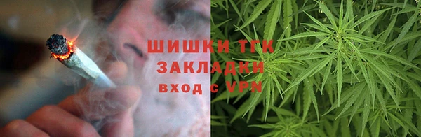 гидра Горно-Алтайск