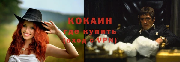 гидра Горно-Алтайск