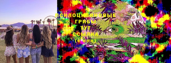 прущий лед Гусев