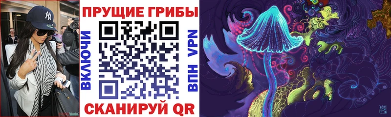 магазин  наркотиков  Дигора  Псилоцибиновые грибы MAGIC MUSHROOMS 