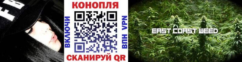 Бошки марихуана AK-47  блэк спрут вход  Дигора  наркота 